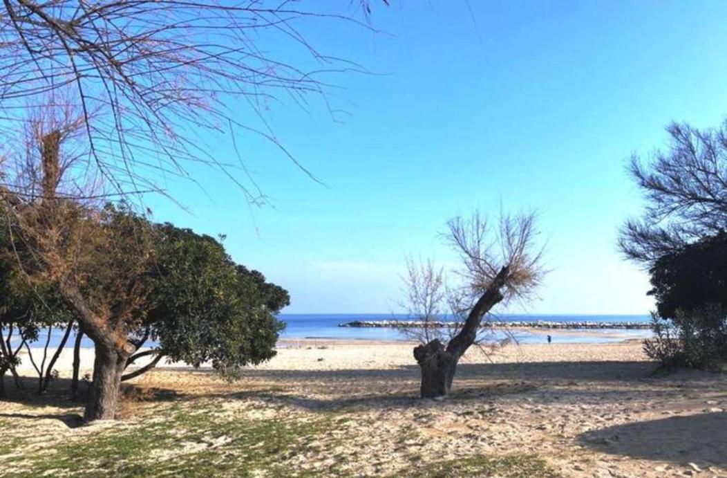 바리 Dimora Mare 아파트 외부 사진